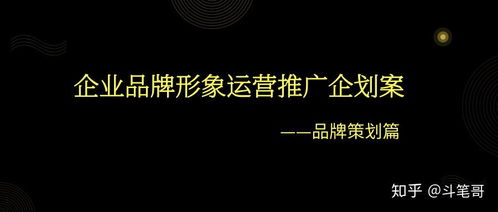 企業(yè)品牌形象運(yùn)營(yíng)推廣企劃案 品牌策劃篇