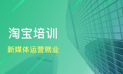 鄭州經(jīng)開區(qū)淘寶培訓(xùn)機(jī)構(gòu)哪家好 淘寶培訓(xùn)哪家好 淘寶培訓(xùn)機(jī)構(gòu)學(xué)費(fèi) 淘學(xué)培訓(xùn)